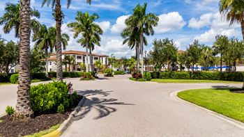 A sunny day at a residential area with palm trees and apartment buildings.